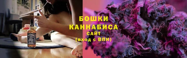 молекула духа Медногорск