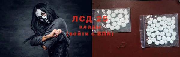 ПСИЛОЦИБИНОВЫЕ ГРИБЫ Медвежьегорск