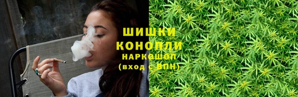 молекула духа Медногорск
