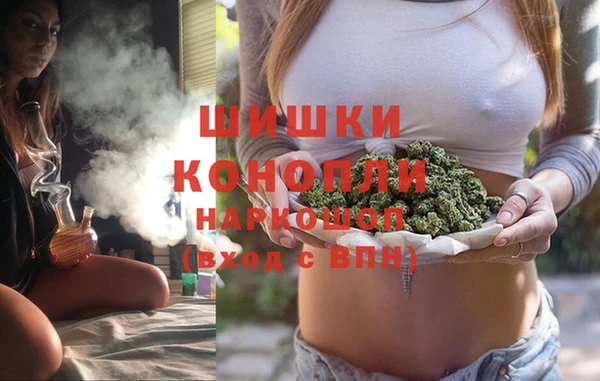 ПСИЛОЦИБИНОВЫЕ ГРИБЫ Медвежьегорск