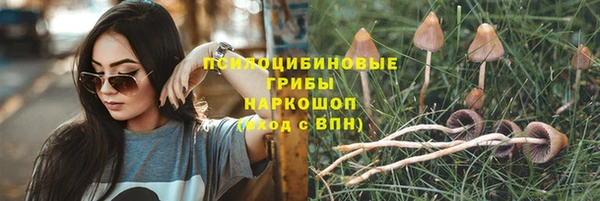 ПСИЛОЦИБИНОВЫЕ ГРИБЫ Медвежьегорск