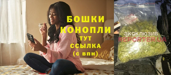 молекула духа Медногорск