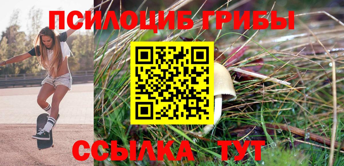 Псилоцибиновые грибы мухоморы  Вход с VPN  даркнет сайт  Холмск 